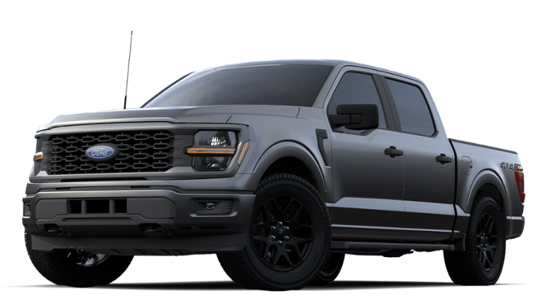 2024 Ford F-150 Vehicle Photo in Terrell, TX 75160